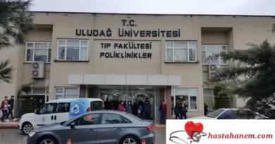 Bursa Uludağ Üniversitesi Tıp Fakültesi Hastanesi Ruh Sağlığı ve Hastalıkları Psikiyatri Doktorları