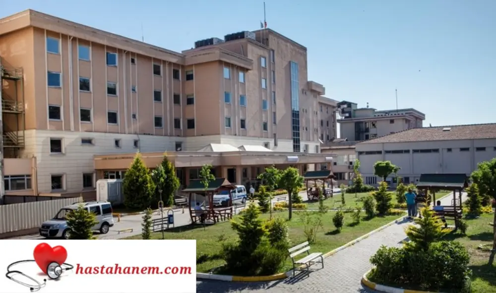 Kocaeli İzmit Seka Devlet Hastanesi Göğüs Hastalıkları Doktorları