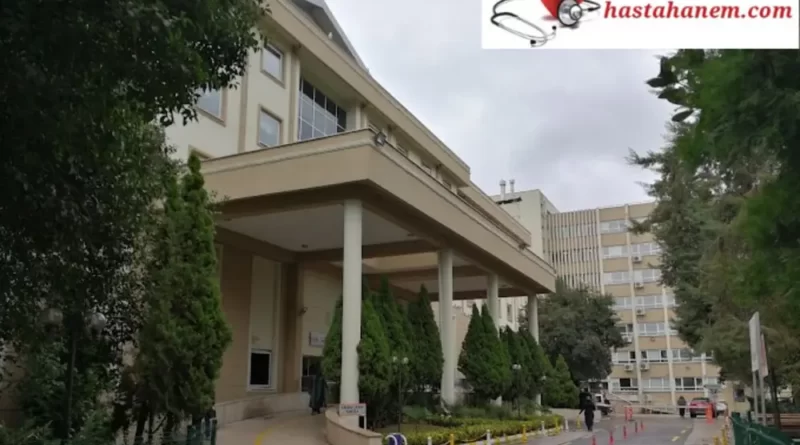 Kocaeli İzmit Seka Devlet Hastanesi Kulak Burun Boğaz Doktorları