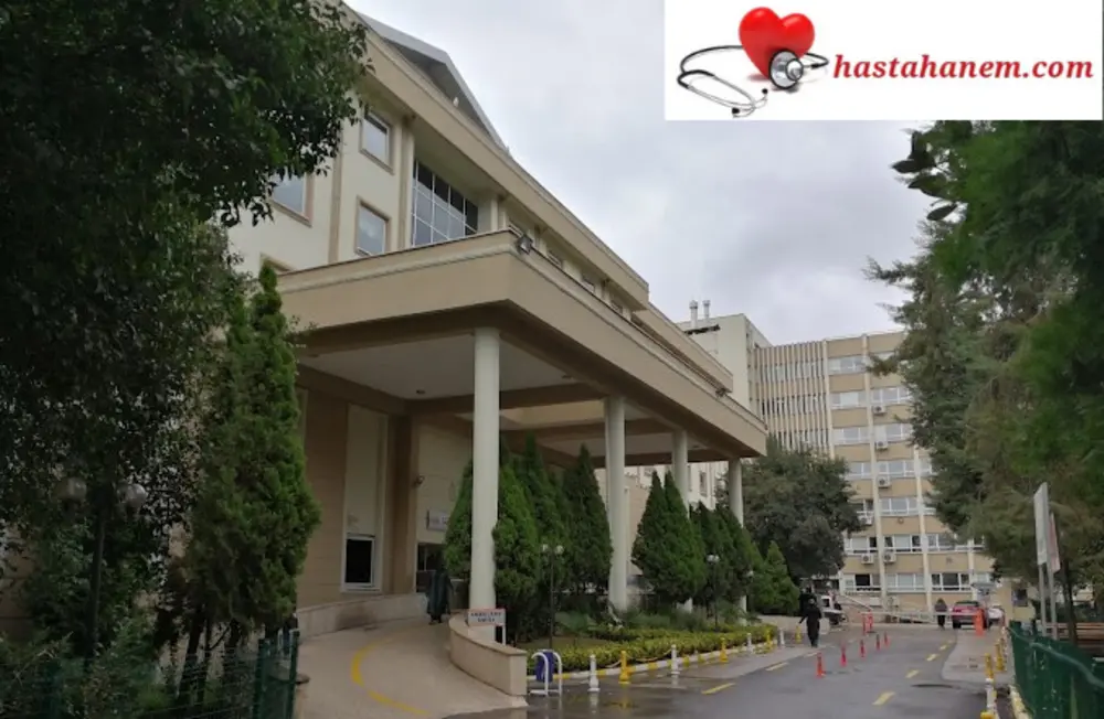 Kocaeli İzmit Seka Devlet Hastanesi Kulak Burun Boğaz Doktorları