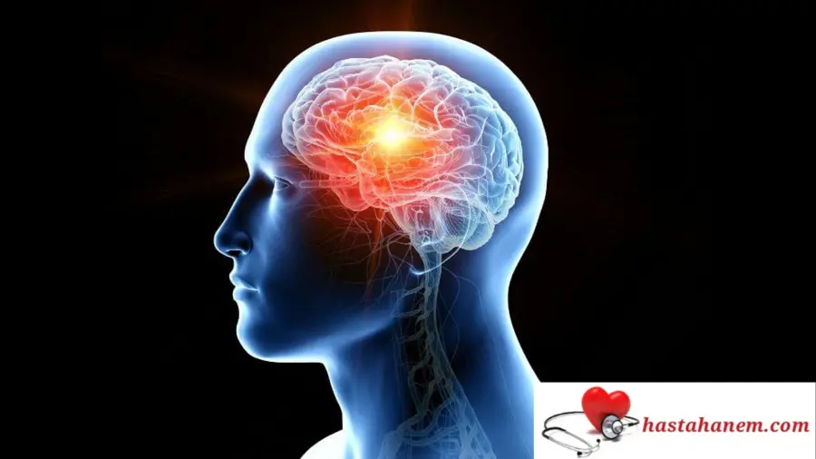 Konya Beyhekim Eğitim ve Araştırma Hastanesi Beyin ve Sinir Cerrahisi Doktorları