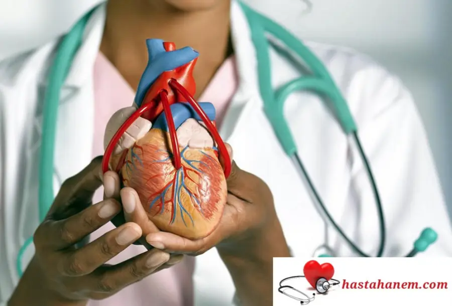 Kütahya Evliya Çelebi Eğitim ve Araştırma Hastanesi Kalp ve Damar Cerrahisi Doktorları