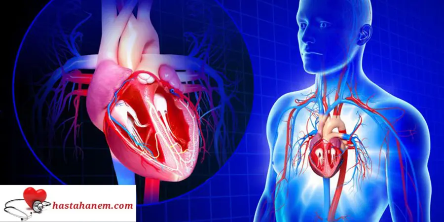 Tokat Devlet Hastanesi Kalp ve Damar Cerrahisi Doktorları
