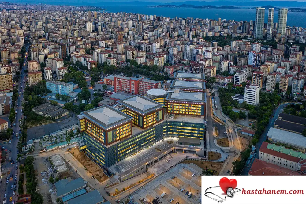 Göztepe Prof. Dr. Süleyman Yalçın Şehir Hastanesi Çocuk İmmünolojisi ve Alerji Hastalıkları Doktorları