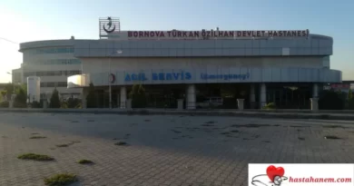 İzmir Bornova Türkan Özilhan Devlet Hastanesi Dermatoloji Cildiye Doktorları