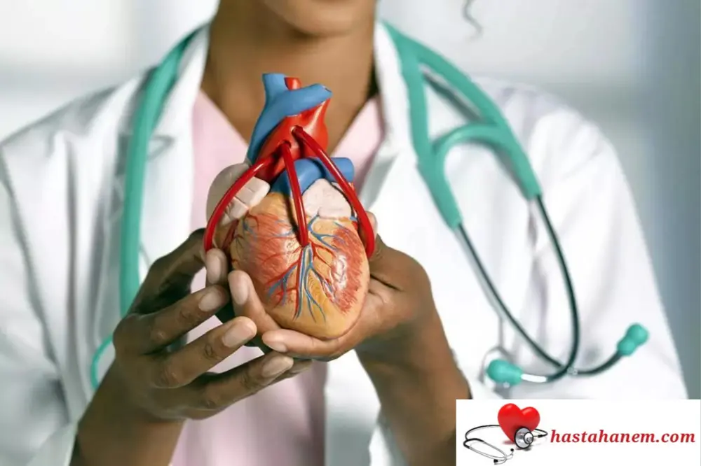 Mersin Toros Devlet Hastanesi Kalp ve Damar Cerrahisi Doktorları