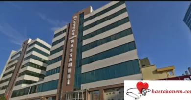 İstanbul Maltepe Devlet Hastanesi Fizik Tedavi ve Rehabilitasyon Doktorları