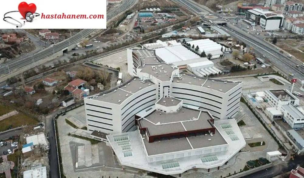 Ankara Mamak Devlet Hastanesi Fizik Tedavi ve Rehabilitasyon Doktorları