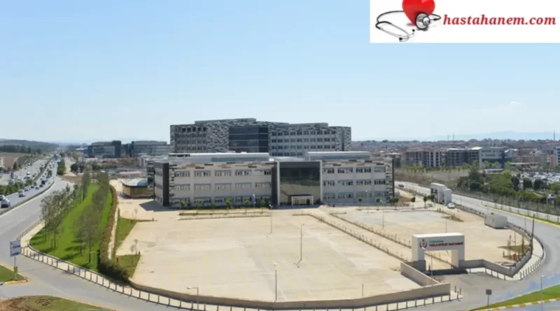 İstanbul Tuzla Devlet Hastanesi Kulak Burun Boğaz Doktorları