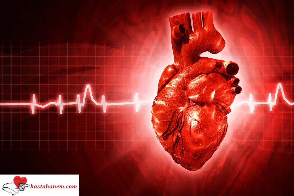 Kocaeli Darıca Farabi Eğitim ve Araştırma Hastanesi Kalp ve Damar Cerrahisi Doktorları