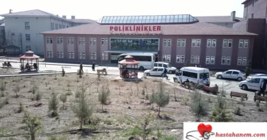 Ankara Atatürk Sanatoryum Eğitim ve Araştırma Hastanesi Beyin ve Sinir Cerrahisi Doktorları