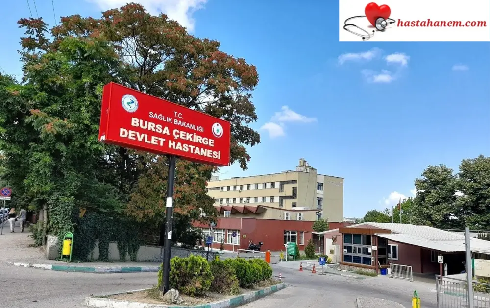 Bursa Çekirge Devlet Hastanesi Beyin ve Sinir Cerrahisi Doktorları