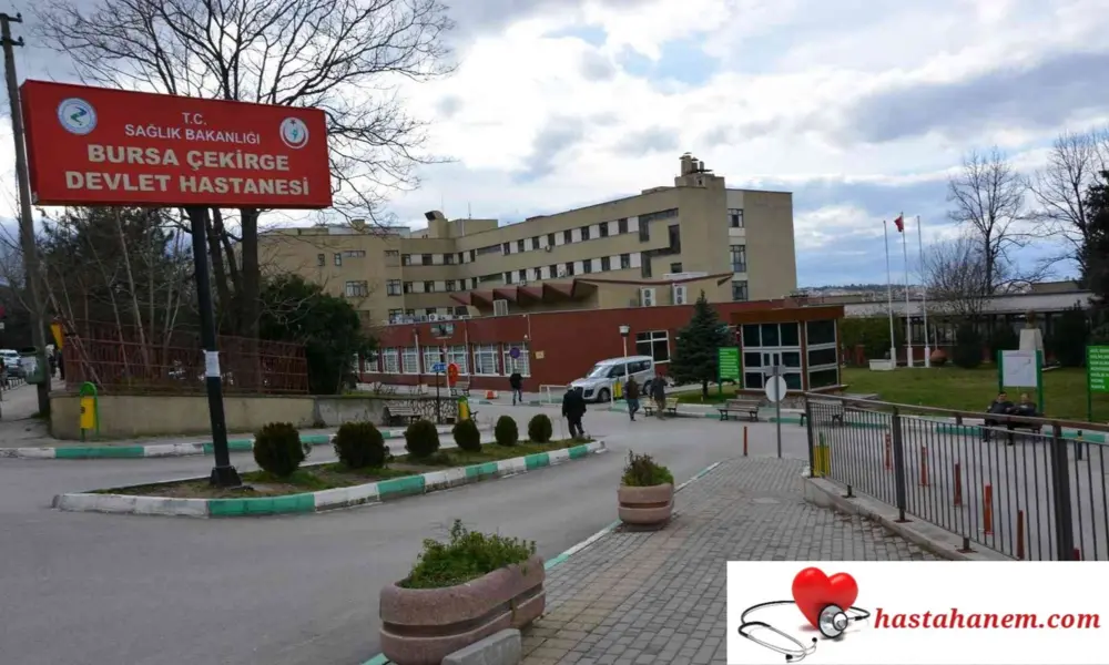 Bursa Çekirge Devlet Hastanesi Göğüs Hastalıkları Doktorları