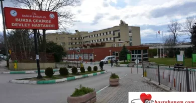 Bursa Çekirge Devlet Hastanesi Plastik Rekonstrüktif ve Estetik Cerrahi Doktorları