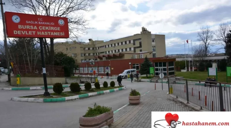 Bursa Çekirge Devlet Hastanesi Plastik Rekonstrüktif ve Estetik Cerrahi Doktorları