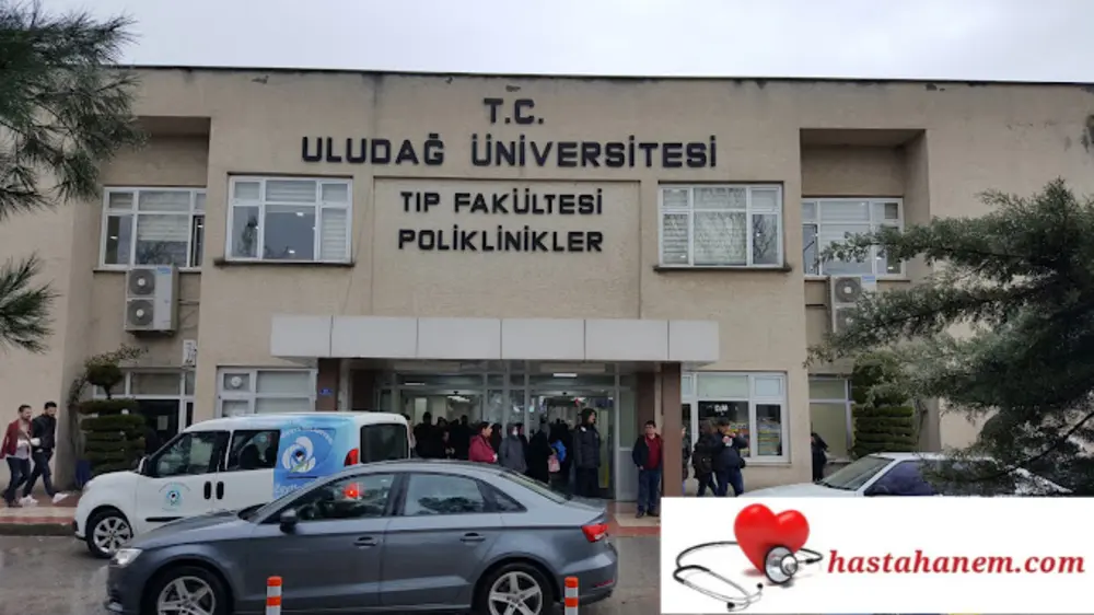 Bursa Uludağ Üniversitesi Tıp Fakültesi Hastanesi Göğüs Hastalıkları Doktorları