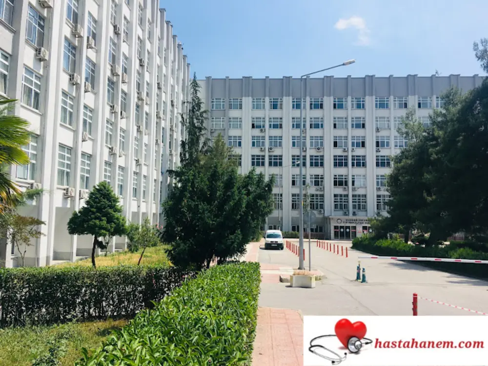 Bursa Uludağ Üniversitesi Tıp Fakültesi Hastanesi İç Hastalıkları Dahiliye Doktorları