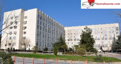 Bursa Uludağ Üniversitesi Tıp Fakültesi Hastanesi Romatoloji Doktorları