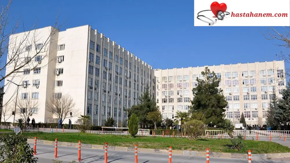 Bursa Uludağ Üniversitesi Tıp Fakültesi Hastanesi Romatoloji Doktorları