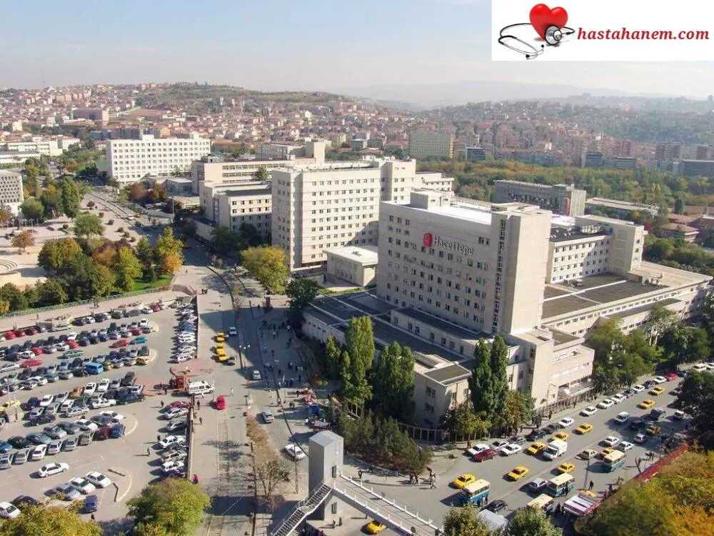 Hacettepe Üniversitesi Tıp Fakültesi Hastanesi Gastroenteroloji Doktorları