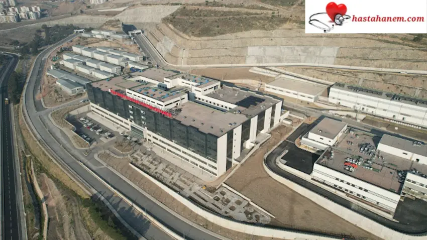 İzmir Bayraklı Şehir Hastanesi Beyin ve Sinir Cerrahisi Doktorları