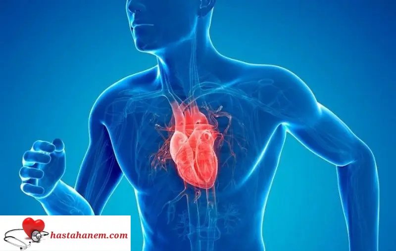 İzmir Gaziemir Nevvar Salih İşgören Devlet Hastanesi Kalp ve Damar Cerrahisi Doktorları