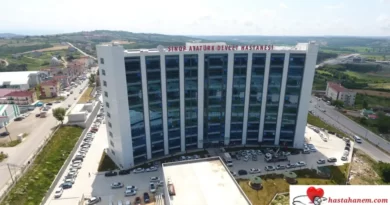 Sinop Atatürk Devlet Hastanesi Fizik Tedavi ve Rehabilitasyon Doktorları