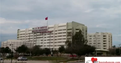 Adana Çukurova Üniversitesi Tıp Fakültesi Balcalı Hastanesi Beyin ve Sinir Cerrahisi Doktorları