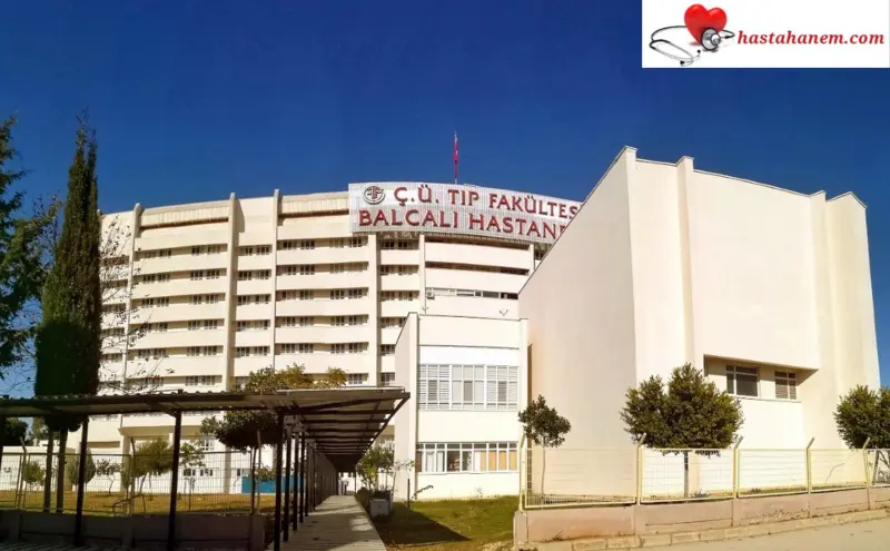 Adana Çukurova Üniversitesi Tıp Fakültesi Balcalı Hastanesi Dermatoloji Cildiye Doktorları