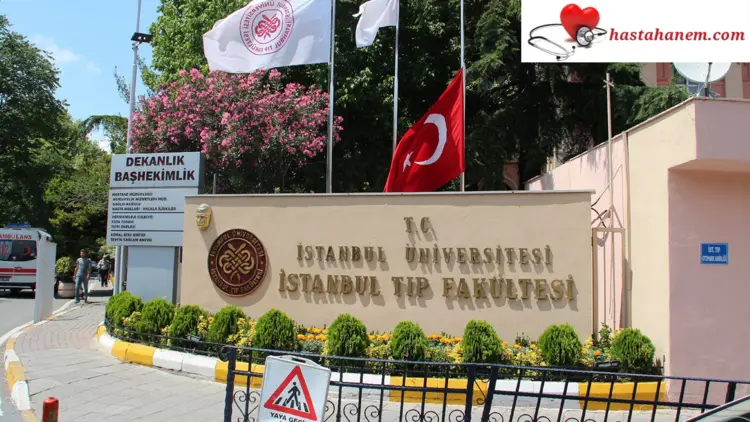 İstanbul Üniversitesi Tıp Fakültesi Hastanesi Genel Cerrahi Doktorları
