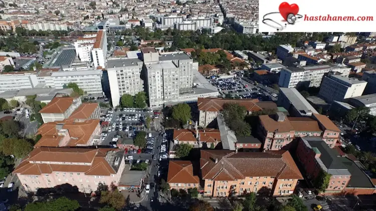 İstanbul Üniversitesi Tıp Fakültesi Hastanesi Göğüs Hastalıkları Doktorları