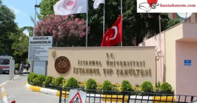 İstanbul Üniversitesi Tıp Fakültesi Hastanesi Plastik Rekonstrüktif ve Estetik Cerrahi Doktorları