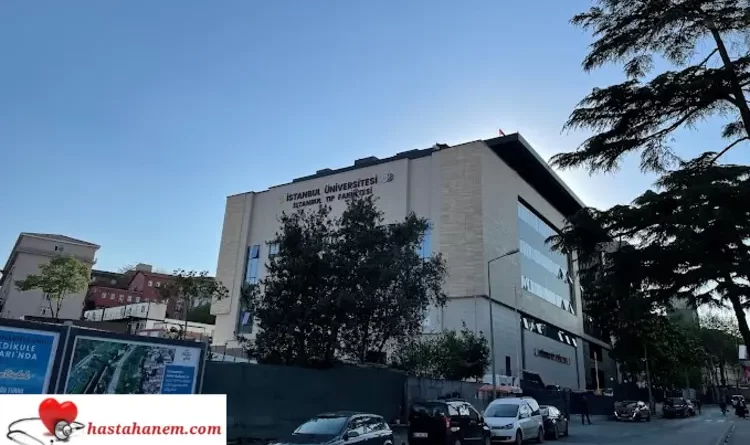 İstanbul Üniversitesi Tıp Fakültesi Hastanesi Romatoloji Doktorları