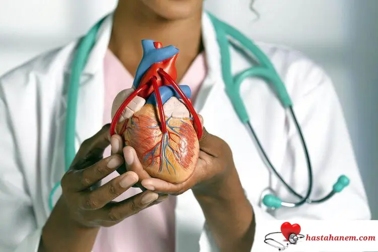 Diyarbakır Dicle Üniversitesi Tıp Fakültesi Hastanesi Kalp ve Damar Cerrahisi Doktorları