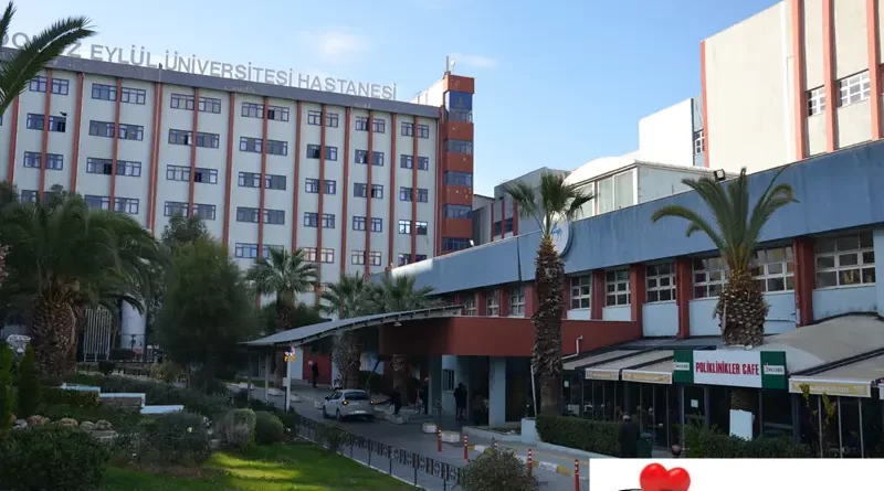 İzmir Dokuz Eylül Üniversitesi Tıp Fakültesi Hastanesi Beyin ve Sinir Cerrahisi Doktorları
