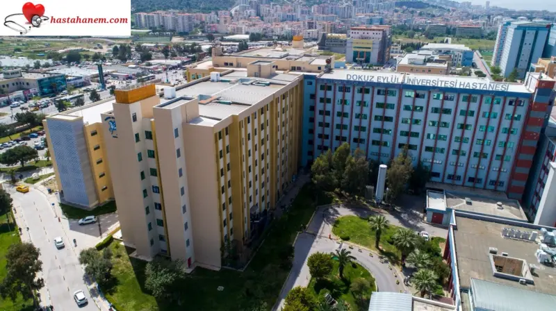 İzmir Dokuz Eylül Üniversitesi Tıp Fakültesi Hastanesi Dermatoloji Cildiye Doktorları