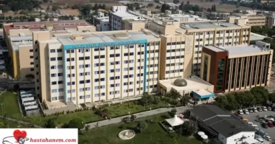 İzmir Dokuz Eylül Üniversitesi Tıp Fakültesi Hastanesi Hematoloji Doktorları