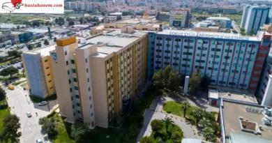 İzmir Dokuz Eylül Üniversitesi Tıp Fakültesi Hastanesi Ruh Sağlığı ve Hastalıkları Psikiyatri Doktorları