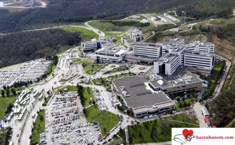 Kocaeli Üniversitesi Tıp Fakültesi Hastanesi Fizik Tedavi ve Rehabilitasyon Doktorları