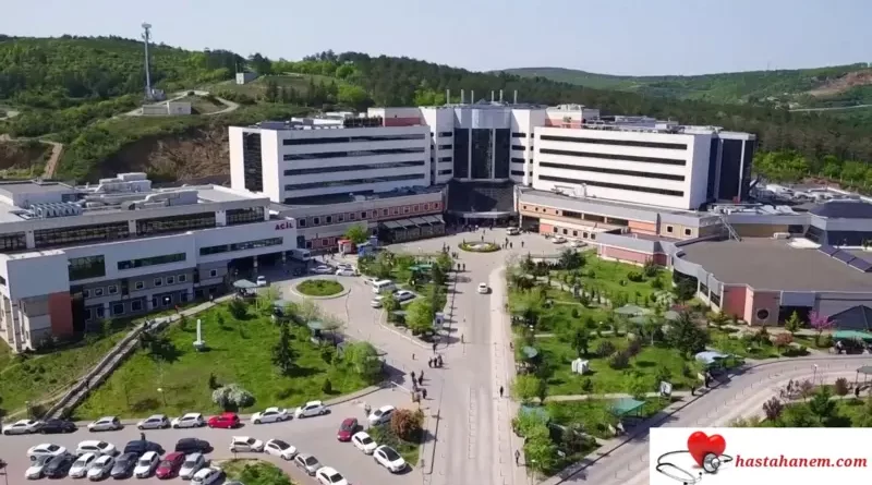 Kocaeli Üniversitesi Tıp Fakültesi Hastanesi Hematoloji Doktorları