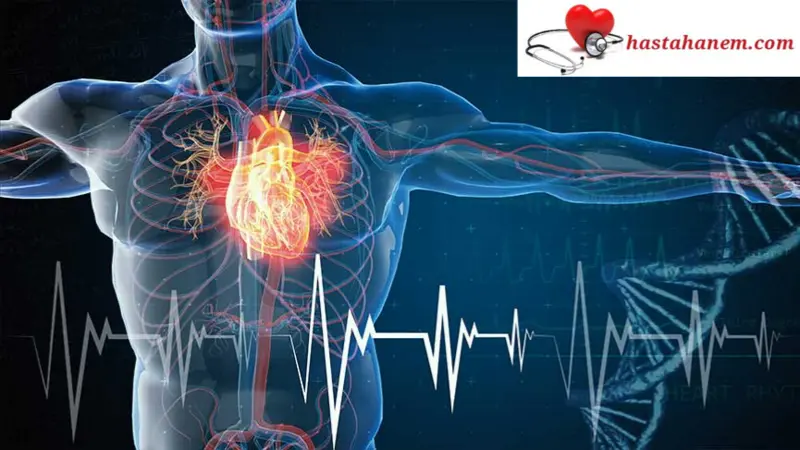 Kocaeli Üniversitesi Tıp Fakültesi Hastanesi Kalp ve Damar Cerrahisi Doktorları