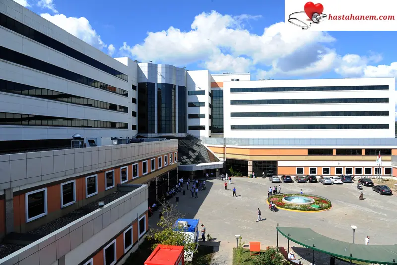 Kocaeli Üniversitesi Tıp Fakültesi Hastanesi Plastik Rekonstrüktif ve Estetik Cerrahi Doktorları