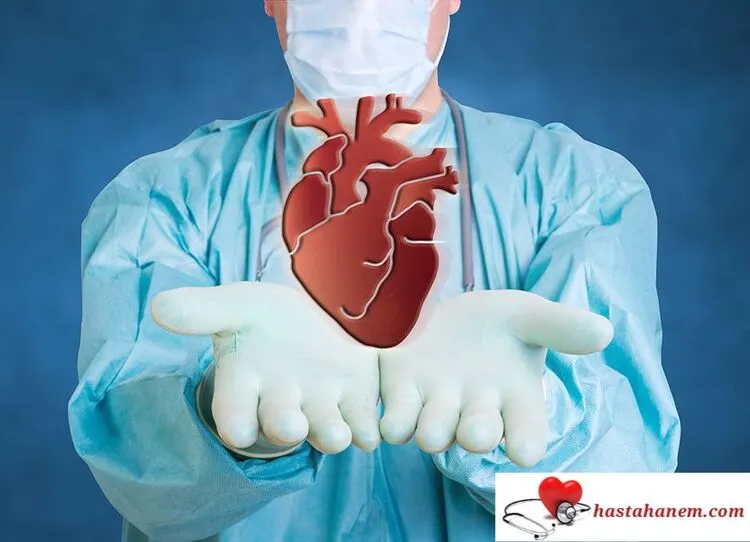 Şanlıurfa Harran Üniversitesi Tıp Fakültesi Hastanesi Kalp ve Damar Cerrahisi Doktorları