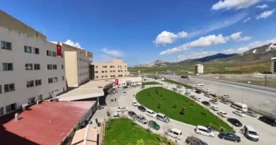 Bitlis Tatvan Devlet Hastanesi Kadın Hastalıkları ve Doğum Doktorları