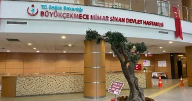 Büyükçekmece Mimar Sinan Devlet Hastanesi Kadın Hastalıkları ve Doğum Doktorları