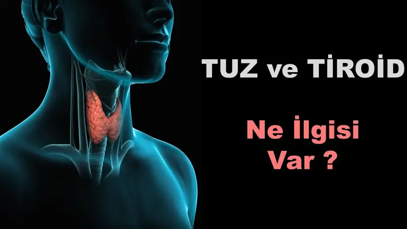 Tiroid Bezi Nedir? Zehirli Guatr Belirtileri ve Tedavisi 3 Tiroidde Dikkat Edilmesi Gerekenler